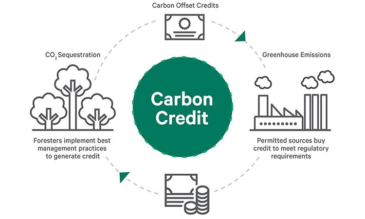 Carbon Credit Process