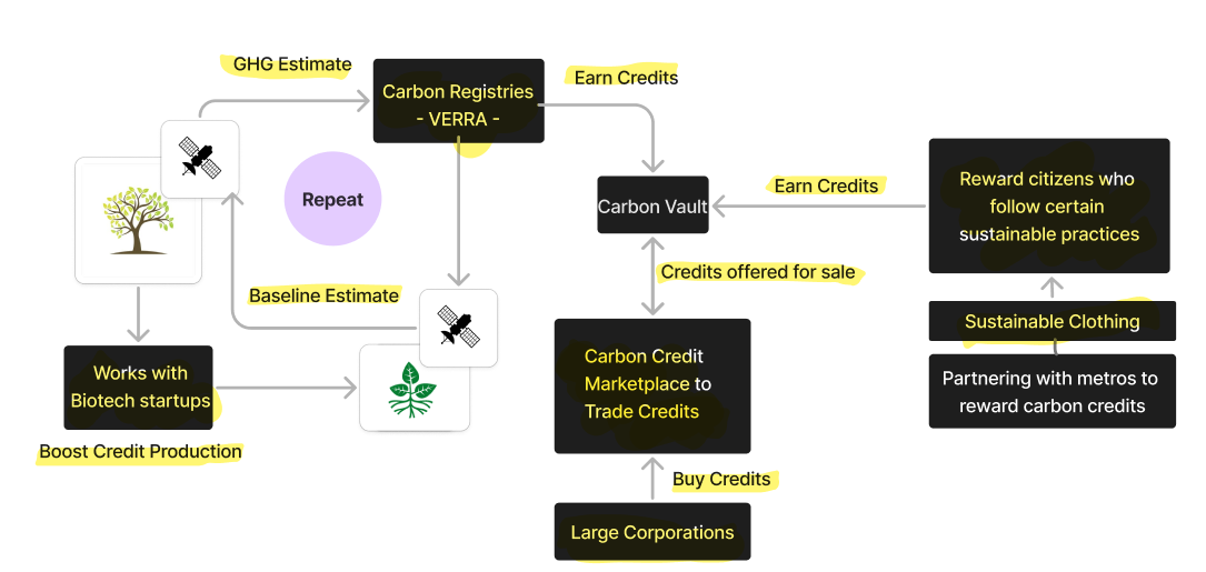 Carbon Credit Process